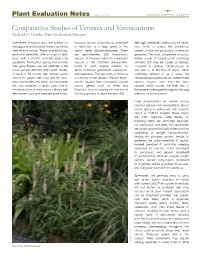 Comparative Studies of Veronica and Veronicastrum Richard G