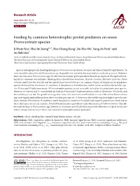 Feeding by Common Heterotrophic Protist Predators on Seven Prorocentrum Species