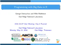 Programming with Big Data in R (Pbdr)