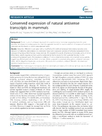 Conserved Expression of Natural Antisense Transcripts in Mammals Maurice HT Ling1, Yuguang Ban1, Hongxiu Wen2, San Ming Wang2 and Steven X Ge1*