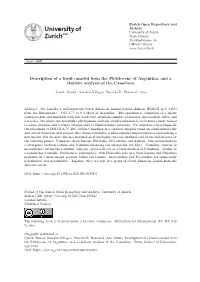 Description of a Fossil Camelid from the Pleistocene of Argentina, and a Cladistic Analysis of the Camelinae