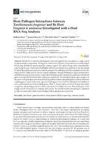 Host–Pathogen Interactions Between Xanthomonas Fragariae and Its Host Fragaria × Ananassa Investigated with a Dual RNA-Seq Analysis