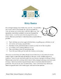 Kitty Basics