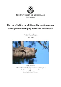 The Role of Habitat Variability and Interactions Around Nesting Cavities in Shaping Urban Bird Communities