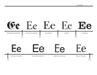Type Classification