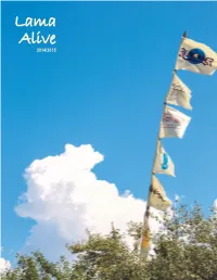 2014 Lama Alive