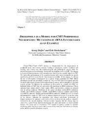 Drosophila As a Model for Cmt Peripheral Neuropathy: Mutations in Trna Synthetases As an Example