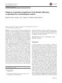 Fungi on Commelina Benghalensis from Brazil, with Notes on Potential for Weed Biological Control