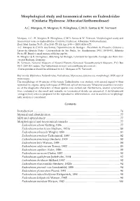 Morphological Study and Taxonomical Notes on Eudendriidae (Cnidaria: Hydrozoa: Athecatae/Anthomedusae)