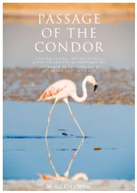 Passage of the Condor