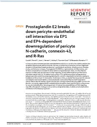Prostaglandin E2 Breaks Down Pericyte–Endothelial Cell Interaction Via EP1 and EP4-Dependent Downregulation of Pericyte N-Cadh
