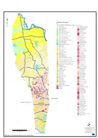 Seamless Geological Map of the Stawell Zone Stratigraphic Unit