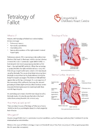 Tetralogy of Fallot