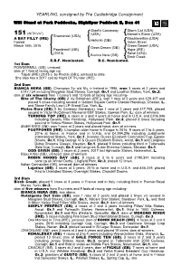YEARLING, Consigned by the Castlebridge Consignment