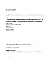 Coping with Chaos: Unpredictable Food Supplies Intensify Torpor Use in an Arid-Zone Marsupial, the Fat-Tailed Dunnart (Sminthopsis Crassicaudata)