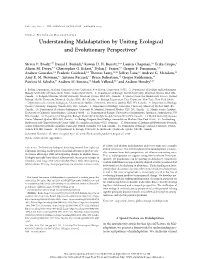 Understanding Maladaptation by Uniting Ecological and Evolutionary Perspectives*
