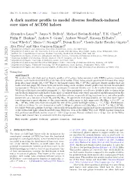 A Dark Matter Profile to Model Diverse Feedback-Induced Core Sizes Of