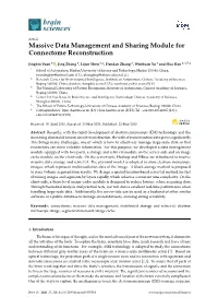 Massive Data Management and Sharing Module for Connectome Reconstruction
