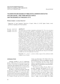 The Infestation Degree of Trees with Common Mistletoe Viscum Album L