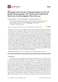 Biological and Genomic Characterization of a Novel Jumbo Bacteriophage, Vb Vham Pir03 with Broad Host Lytic Activity Against Vibrio Harveyi