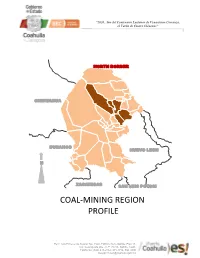 Coal-Mining Region Profile