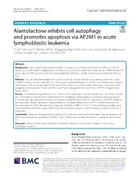 Alantolactone Inhibits Cell Autophagy and Promotes Apoptosis Via AP2M1