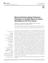 Bacterial Extracellular Polymeric Substances Amplify Water Content Variability at the Pore Scale