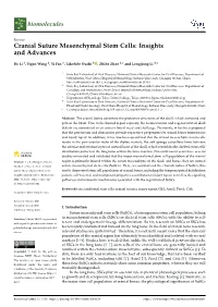 Cranial Suture Mesenchymal Stem Cells: Insights and Advances