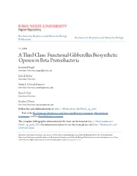 Functional Gibberellin Biosynthetic Operon in Beta-Proteobacteria Raimund Nagel Iowa State University, Rnagel@Iastate.Edu
