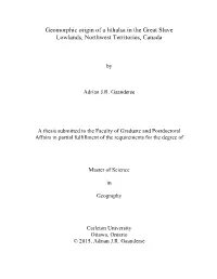 Geomorphic Origin of a Lithalsa in the Great Slave Lowlands, Northwest Territories, Canada