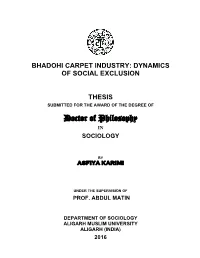 Dynamics of Social Exclusion Thesis