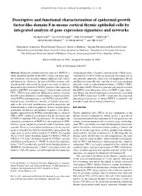 Descriptive and Functional Characterization of Epidermal