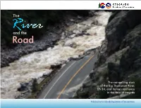 The and So the Story Continues: the River and the Road, Each Changing River in Response to the Other — the So Inclined