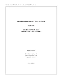 Preliminary Permit Application for the Clark