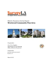 Surveyla Survey Report Template