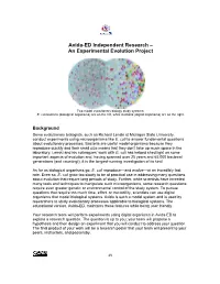 Avida-ED Independent Research – an Experimental Evolution Project