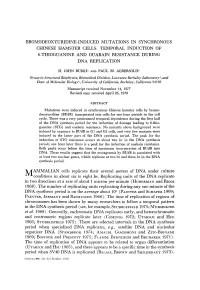 Bromodeoxyuridine-Induced Mutations in Synchronous Chinese Hamster Cells: Temporal Induction of 6-Thioguanine and Ouabain Resistance During Dna Replication
