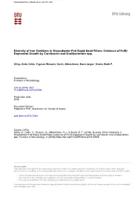 Diversity of Iron Oxidizers in Groundwater-Fed Rapid Sand Filters: Evidence of Fe(II)- Dependent Growth by Curvibacter and Undibacterium Spp