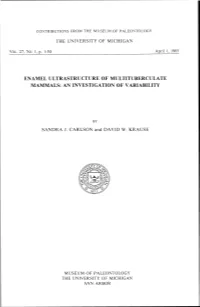 Enamel Ultrastructure of Multituberculate Mammals: an Investigation of Variability