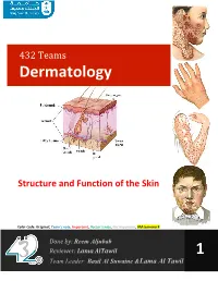 Epidermis (Ectoderm), Dermis (Mesoderm), Subcutaneous Fat and Skin Appendages (Ectoderm and Mesoderm)