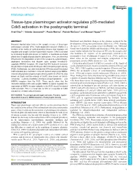 Tissue-Type Plasminogen Activator Regulates P35-Mediated Cdk5