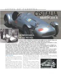 Autos De Carrera Cisitalia Abarth 204 A