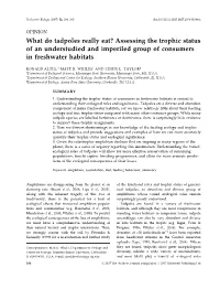 What Do Tadpoles Really Eat? Assessing the Trophic Status of an Understudied and Imperiled Group of Consumers in Freshwater Habitats