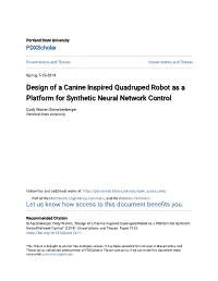 Design of a Canine Inspired Quadruped Robot As a Platform for Synthetic Neural Network Control