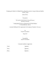 Evaluating the Viability of a Mobile-Device-Based Intervention to Improve Maternal Health in Achham, Nepal