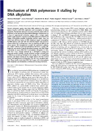 Mechanism of RNA Polymerase II Stalling by DNA Alkylation