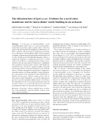 The Ultrastructure of Ignicoccus: Evidence for a Novel Outer Membrane and for Intracellular Vesicle Budding in an Archaeon