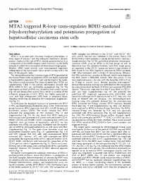 MTA2 Triggered R-Loop Trans-Regulates BDH1-Mediated Β-Hydroxybutyrylation and Potentiates Propagation of Hepatocellular Carcinoma Stem Cells