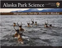 Migration: on the Move in Alaska