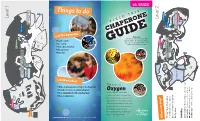 5Th Grade Chaperone Guide